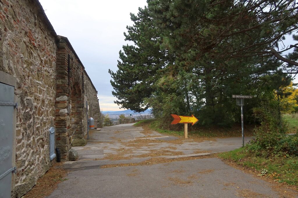 Galeriebild