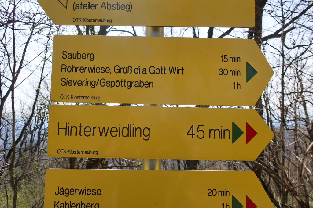 Galeriebild