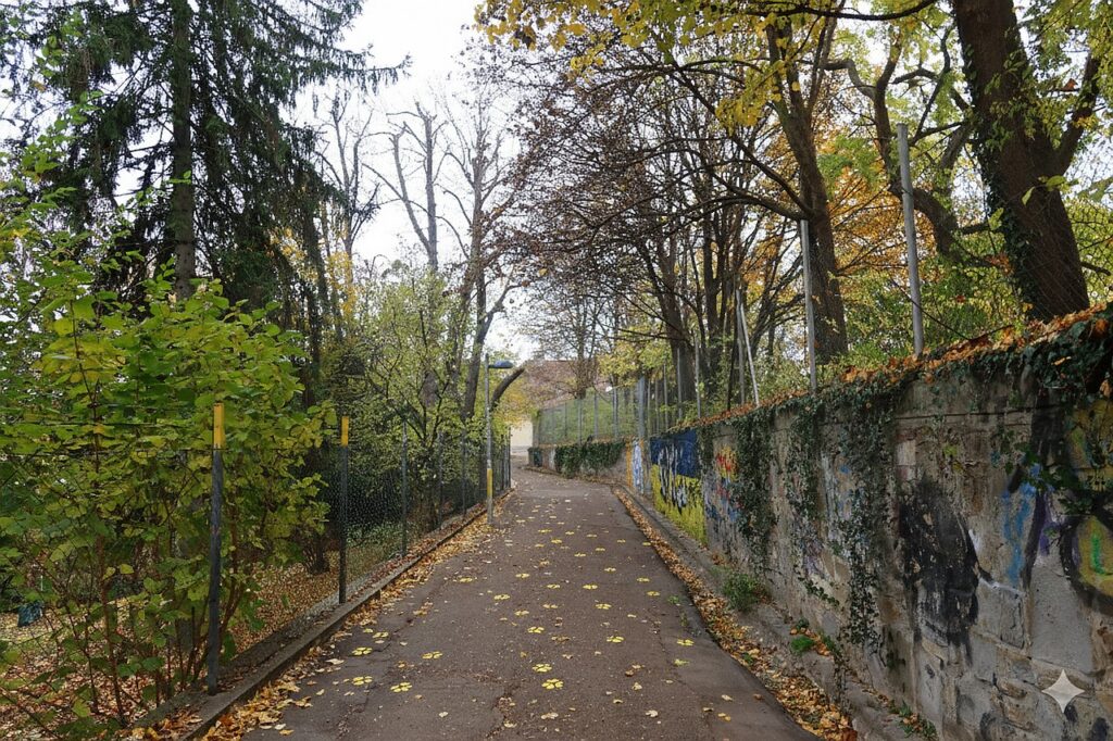 Galeriebild