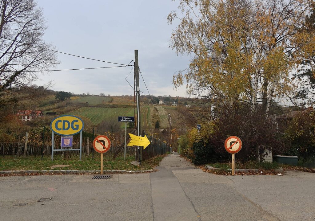 Galeriebild