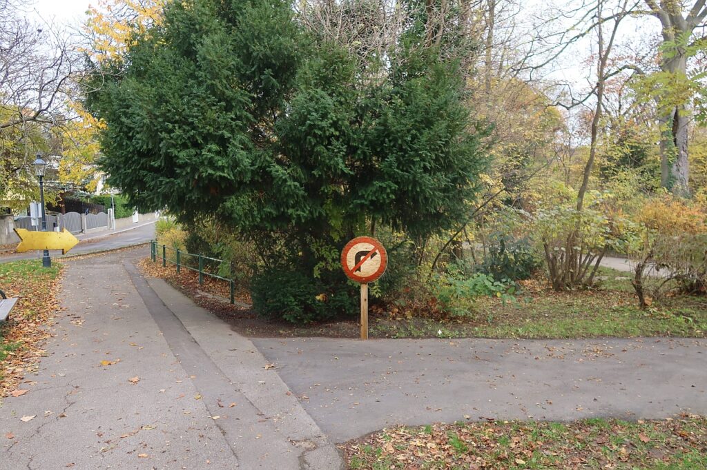 Galeriebild