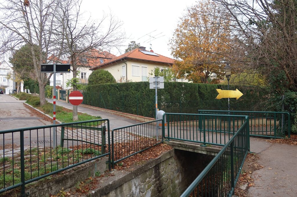 Galeriebild