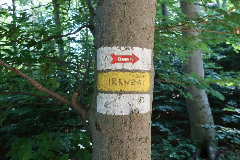 Galeriebild