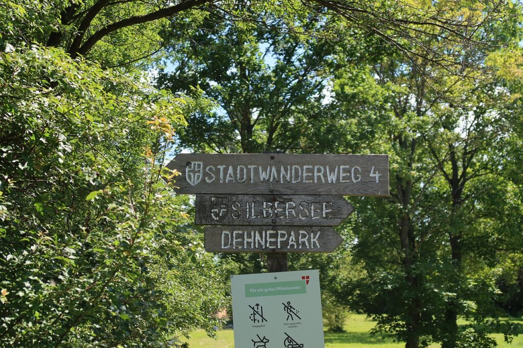 Galeriebild