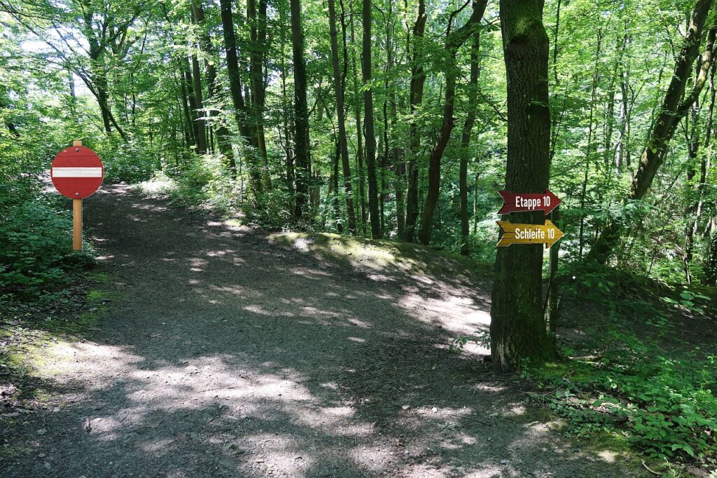 Galeriebild
