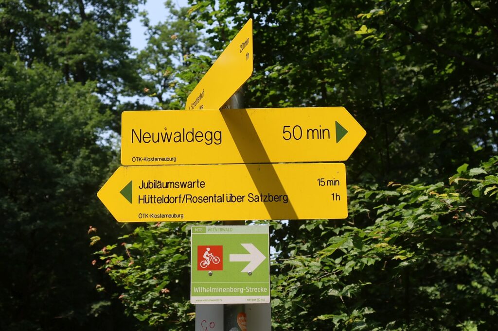 Galeriebild