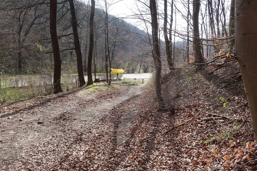 Galeriebild