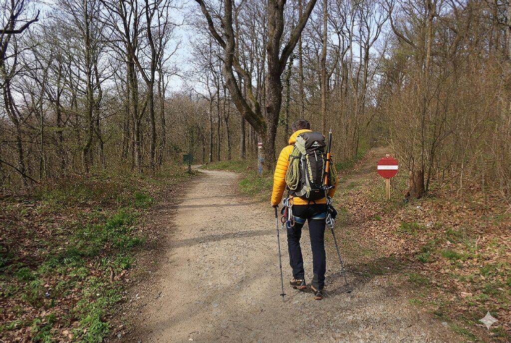 Galeriebild