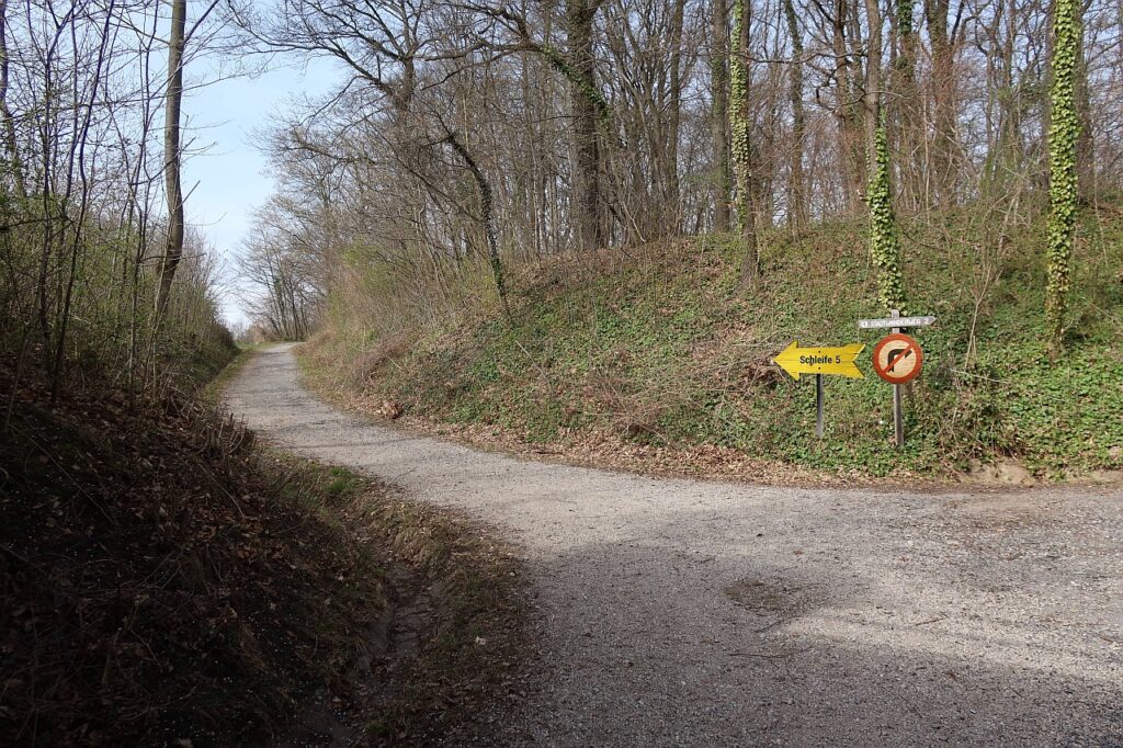 Galeriebild