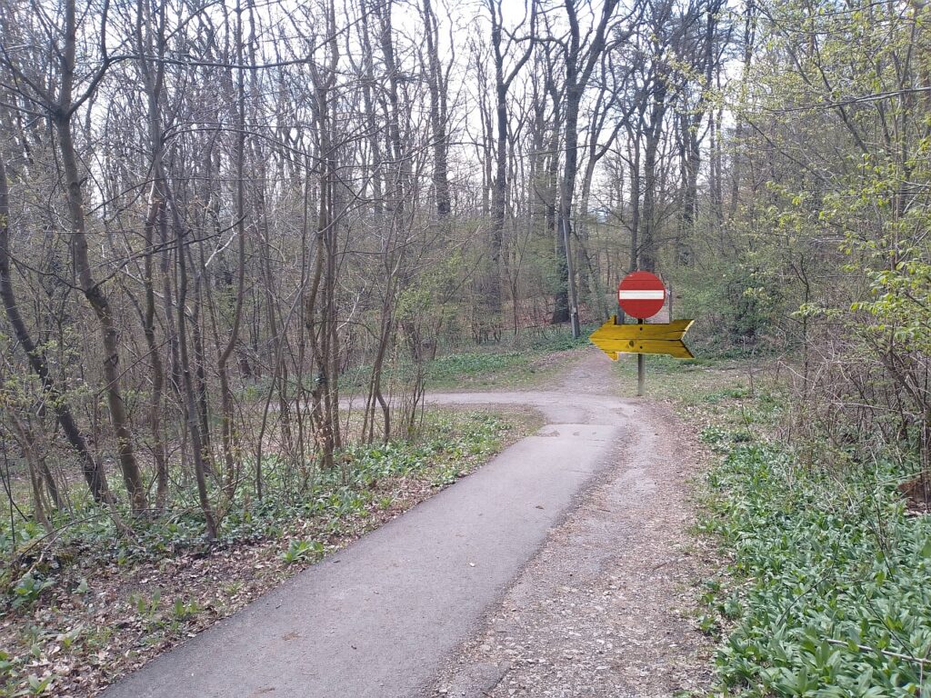 Galeriebild