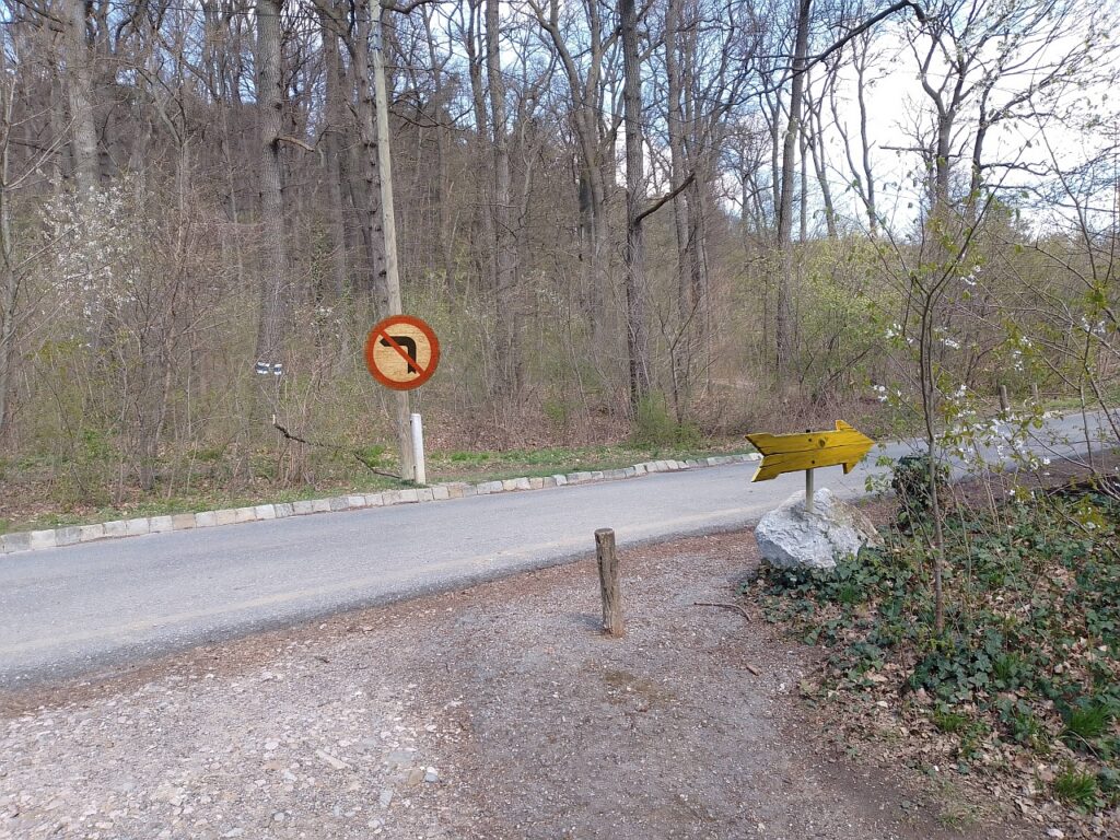 Galeriebild