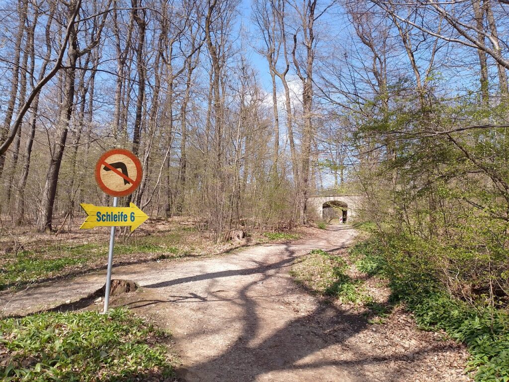 Galeriebild